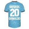 Maglia ufficiale Bayer 04 Leverkusen Alejandro Grimaldo 20 Alternativa 2023-24 per Uomo